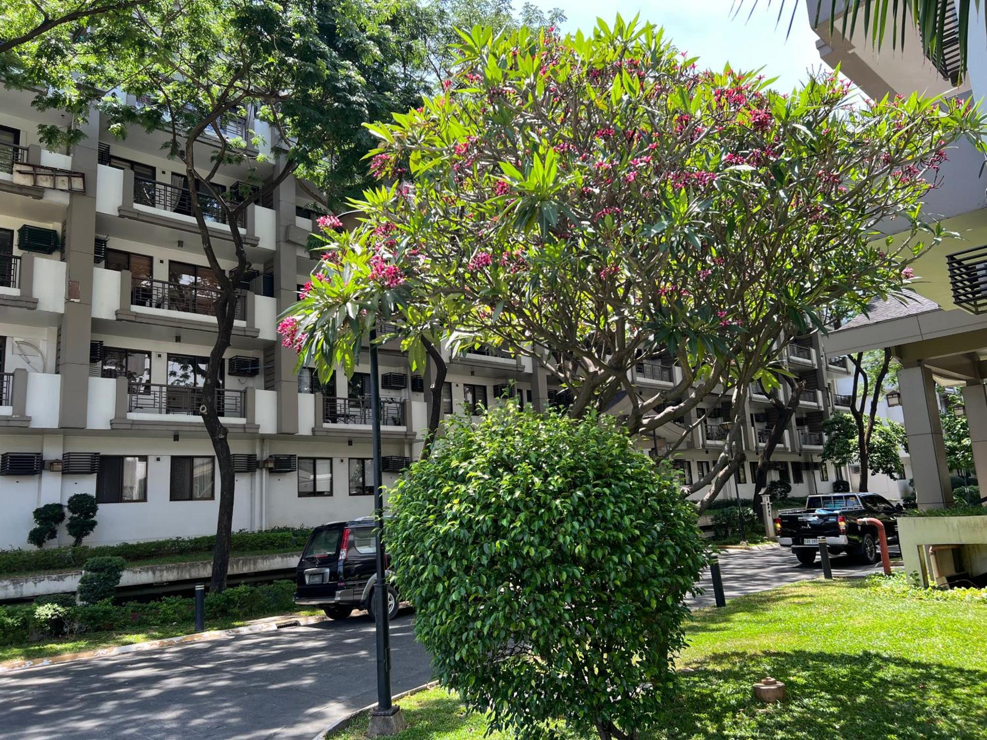 Stunning 2Br Apt, 65 Sq M Netflix At Rosewood Pointe Residences Near Bgc Manila Exterior foto